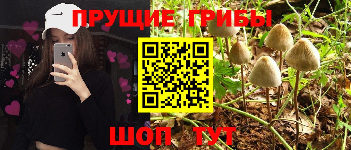 Нягань  Галлюциногенные грибы ЛСД  Вход с VPN 