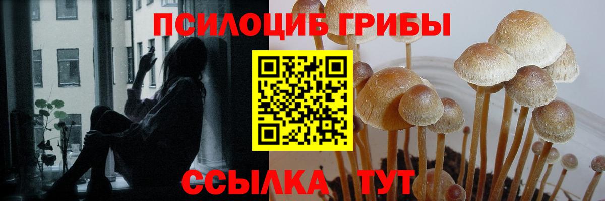 Псилоцибиновые грибы Magic Shrooms Нягань